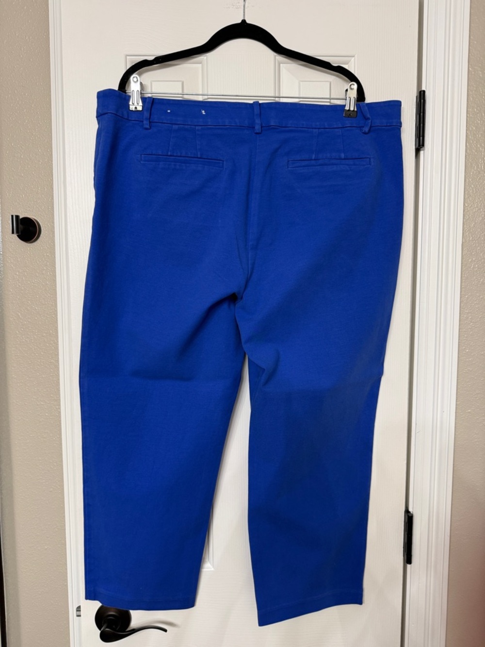 LOFT Curvy Cobalt Blue Pants - Picture 3 of 3
